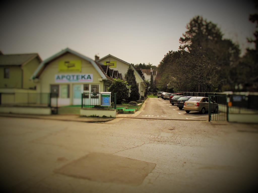 B&B Villa Evandjelina Sremska Kamenica 外观 照片