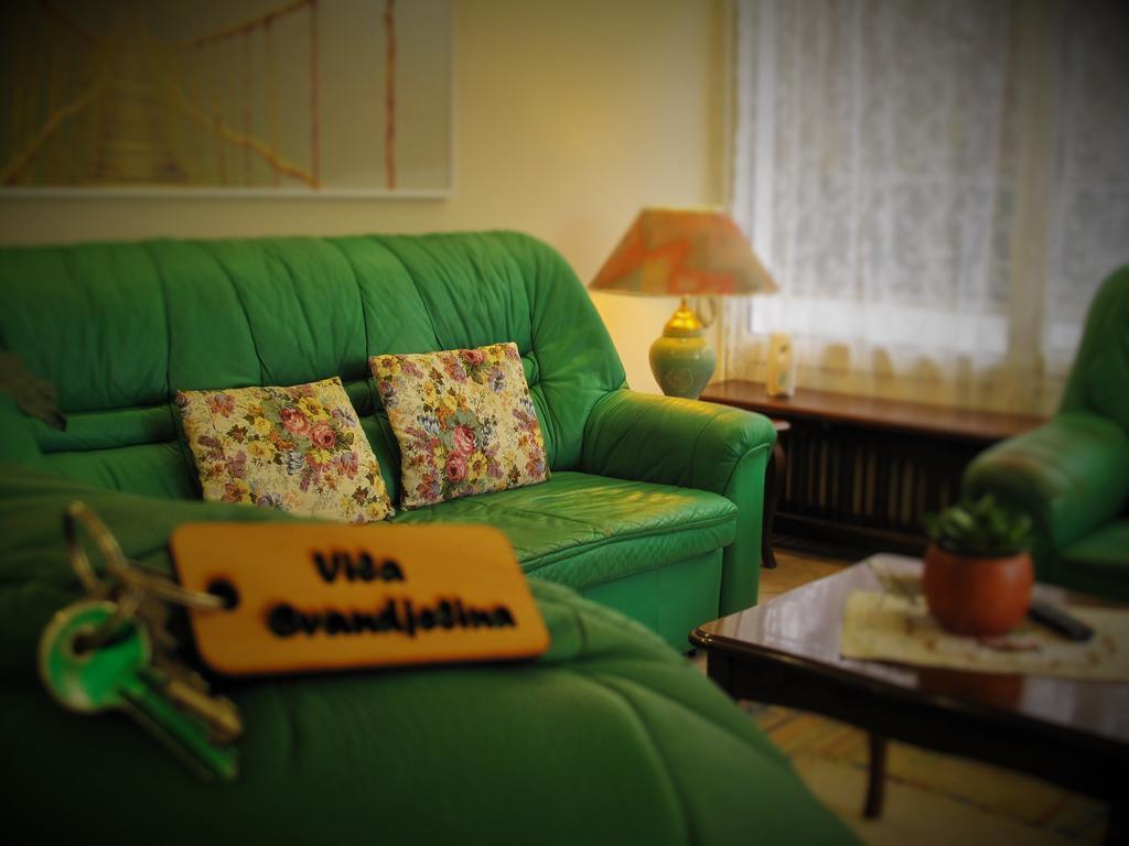 B&B Villa Evandjelina Sremska Kamenica 外观 照片