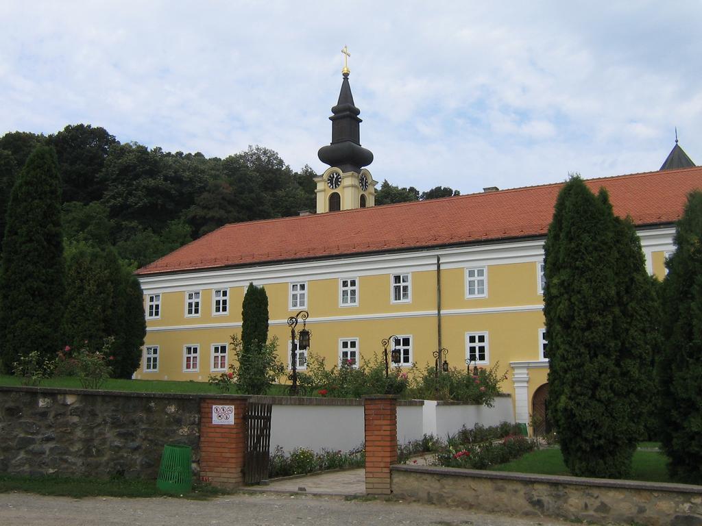 B&B Villa Evandjelina Sremska Kamenica 外观 照片