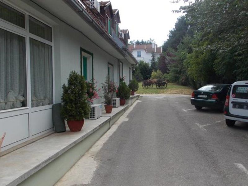 B&B Villa Evandjelina Sremska Kamenica 外观 照片